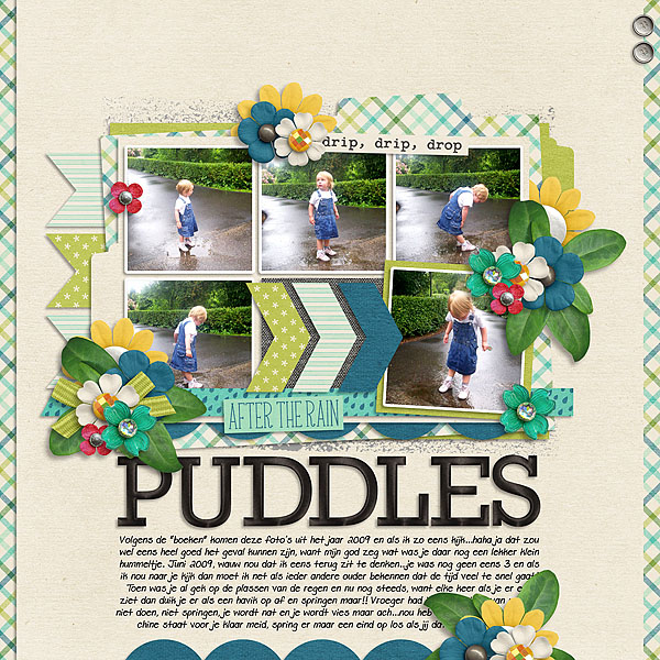 Puddles_after_the_rain_copy