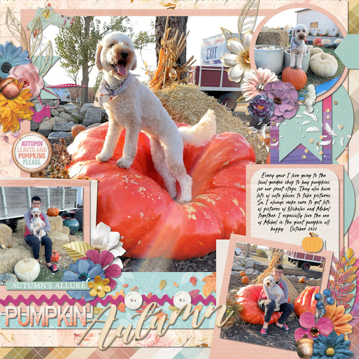 Pumpkin_Autumn_web