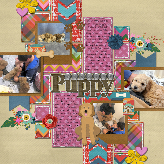 Puppy_Picking_web