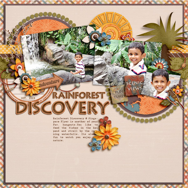 Rainforest-_discovery