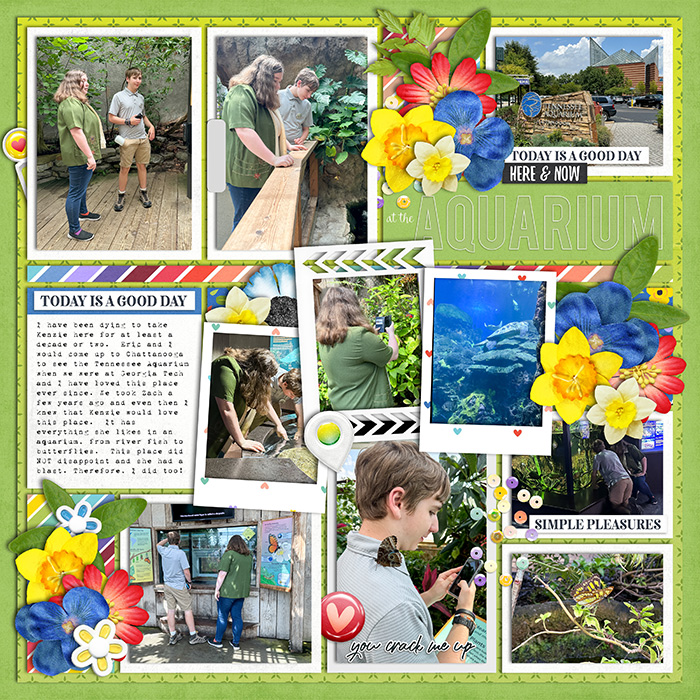 Robin_All-Year-Round-March-700