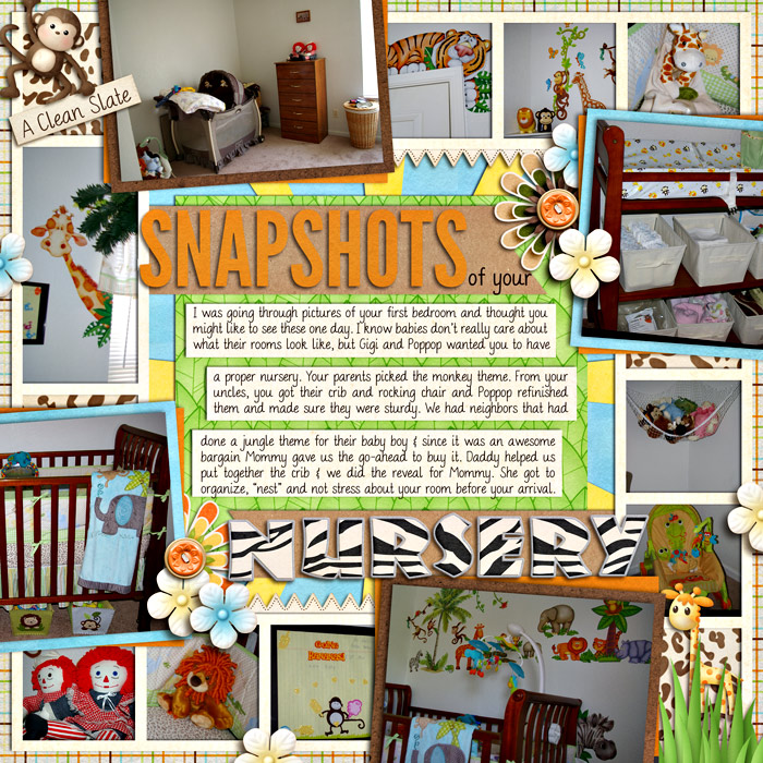 Snapshots-of-your-Nursery