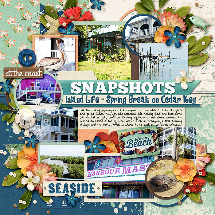 SnapshotsofIslandLife700