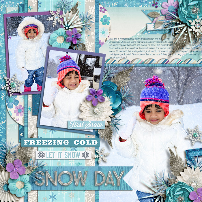 Snow-Day10
