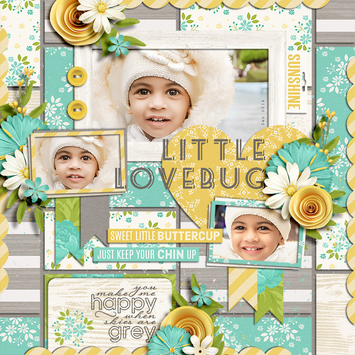Sugi_Lovebug