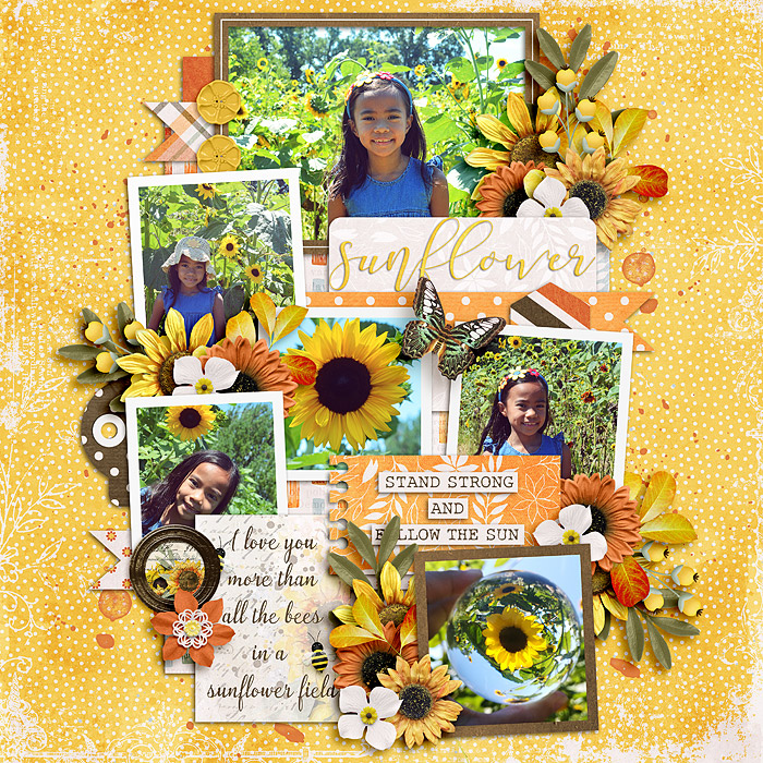 Sunflower_immaculeah