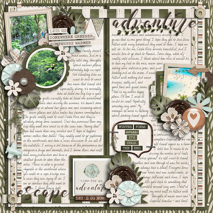 cschneider-HP336_riverrose_cindywords