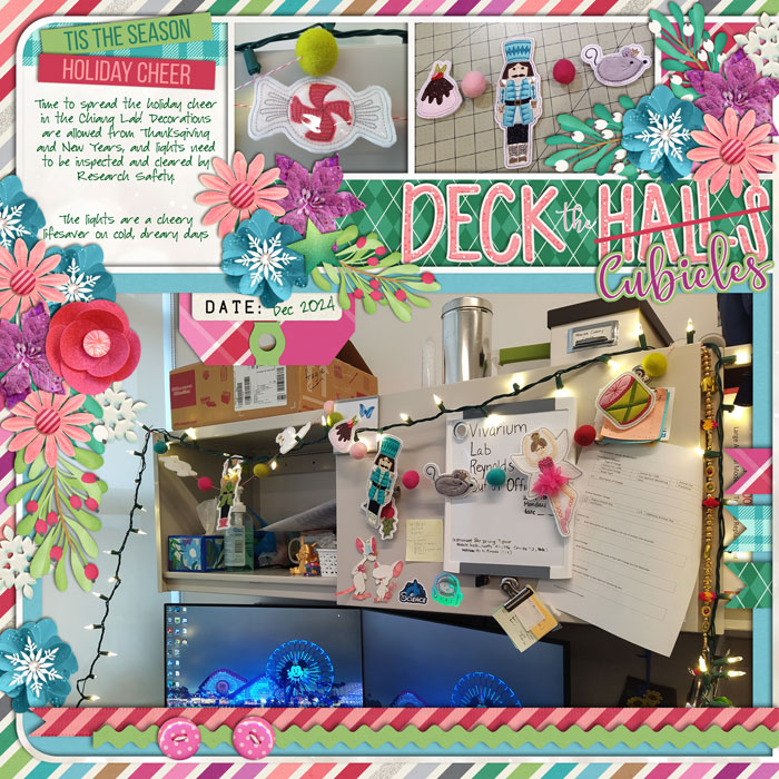 cschneider-UA9pg7left_deckthecubicles_2024_dec12th
