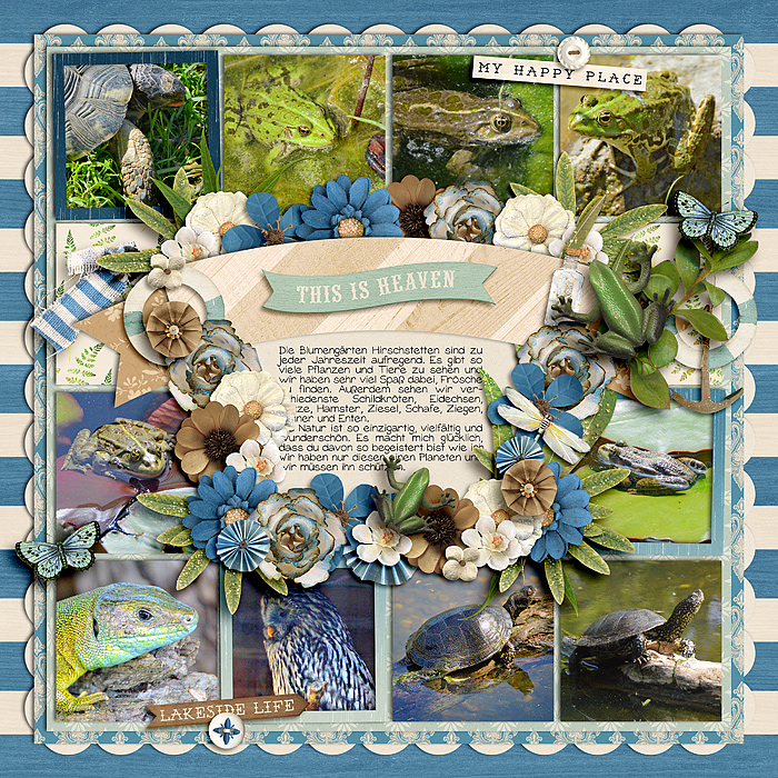 cschneider-retake10-kcb-ascenicreoute-ruggedbeach1