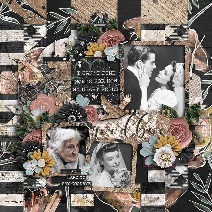 cschneider-set276_riverrose