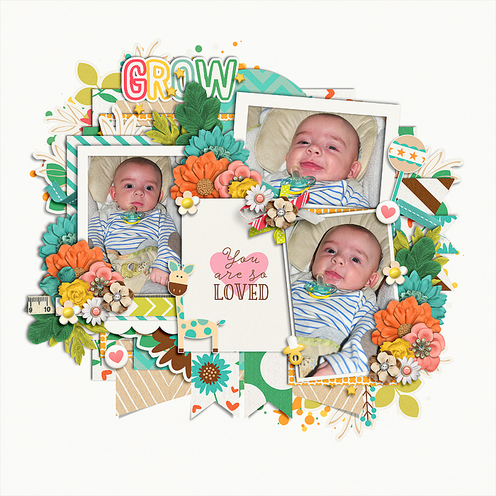cschneider_set205_aytps_peapod_ttt83