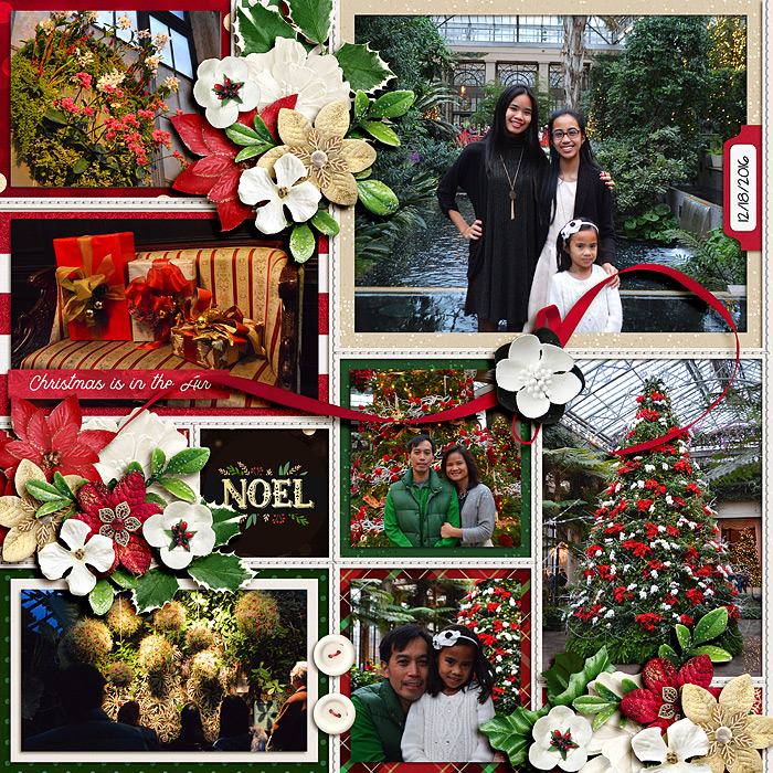 dec2remL_leah