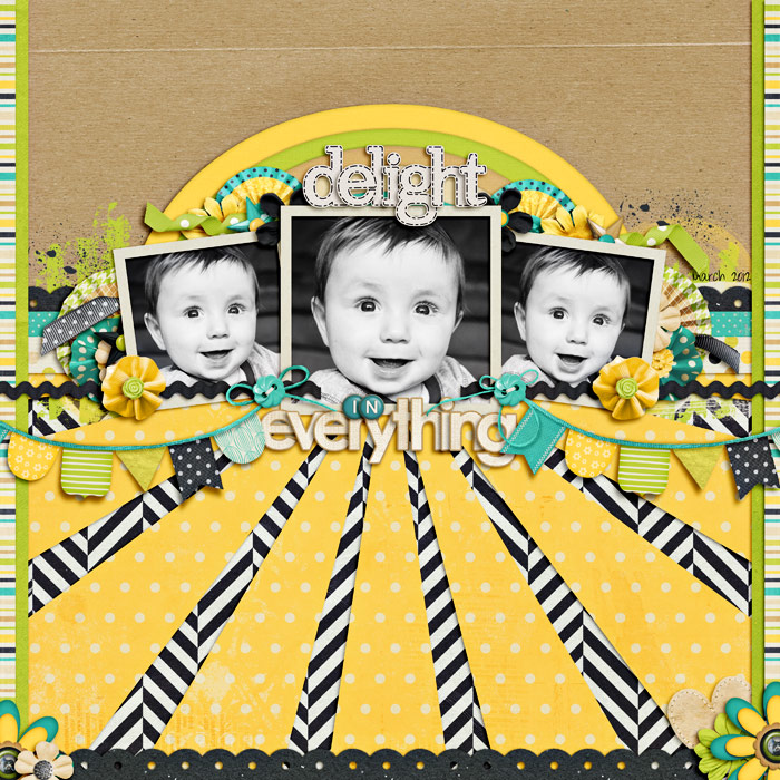 delight-in-everythingSSD
