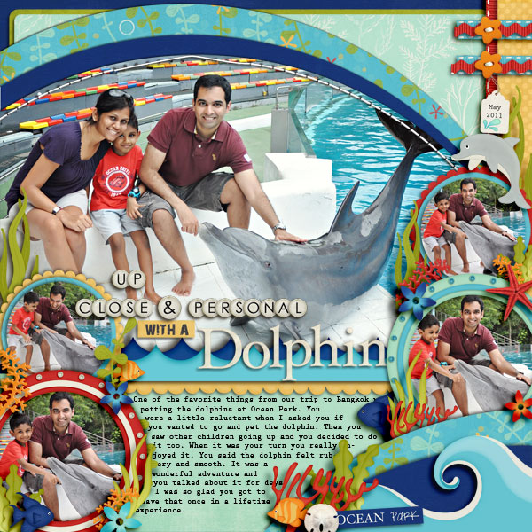 dolphin