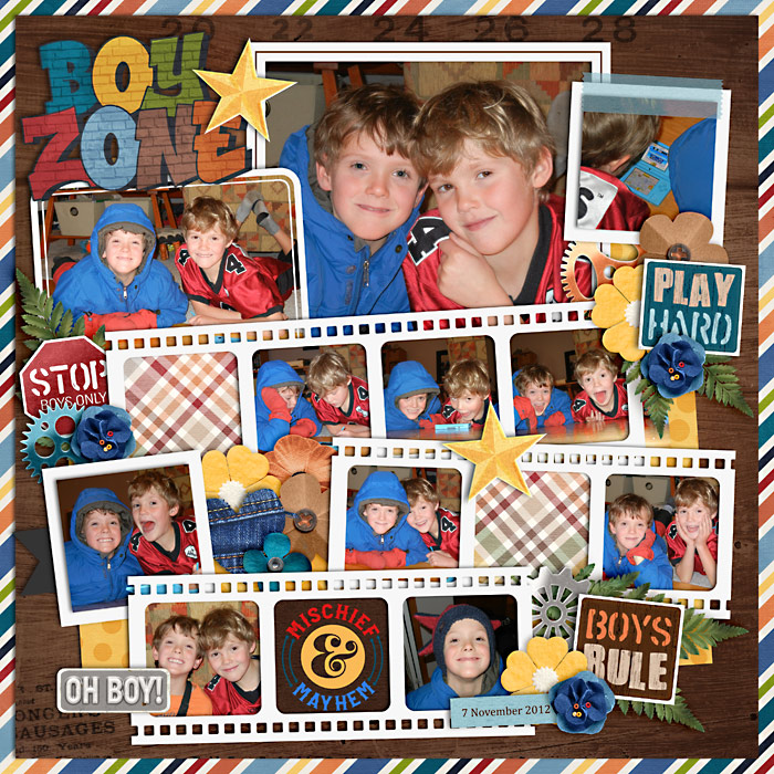 dsiGoofingAround2012-web-700