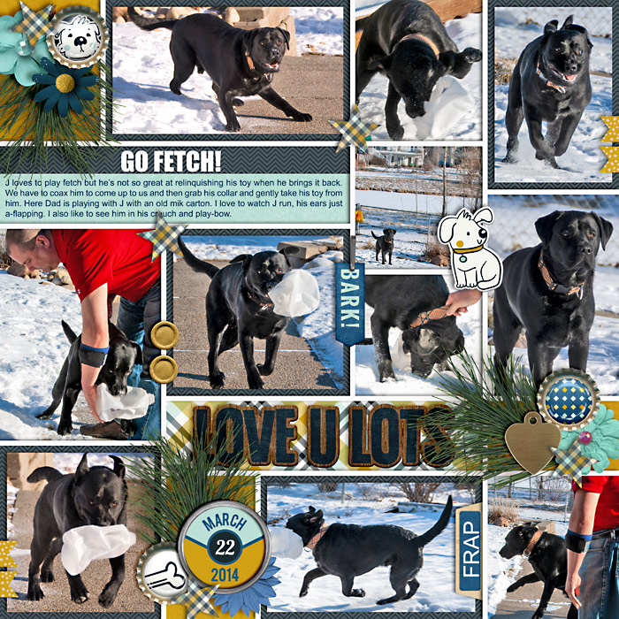 fetch2014-web-700