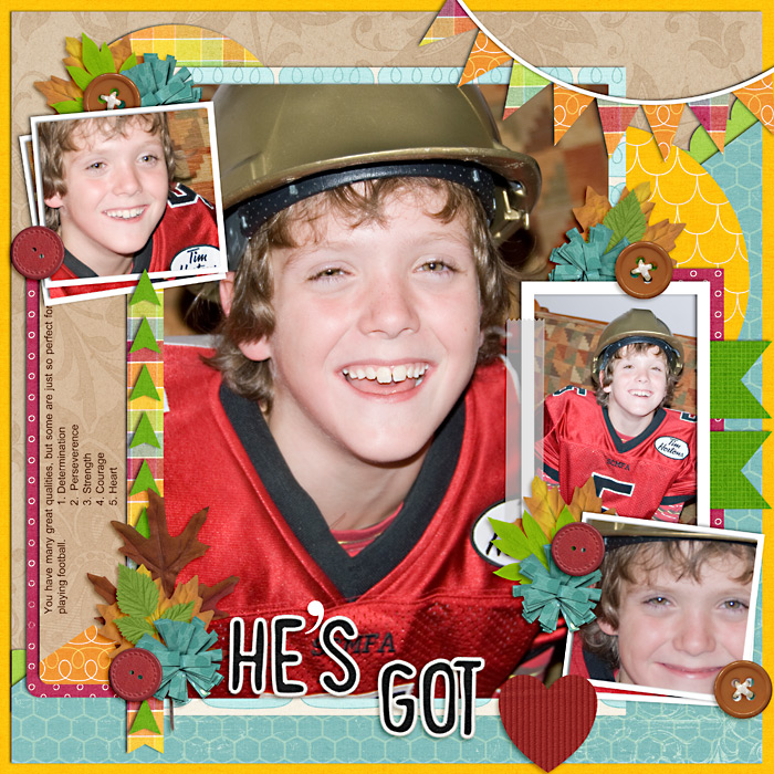 gogos2014-web-7001