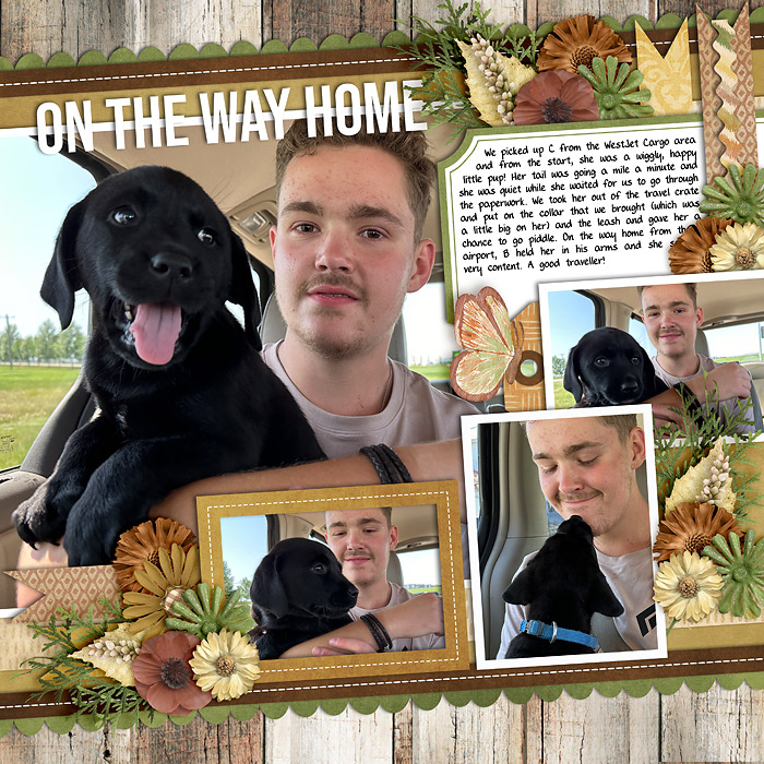homeFromtheAirport-web-700