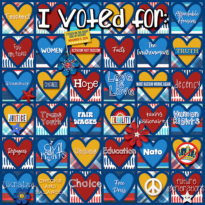 i-voted-for-reasons-