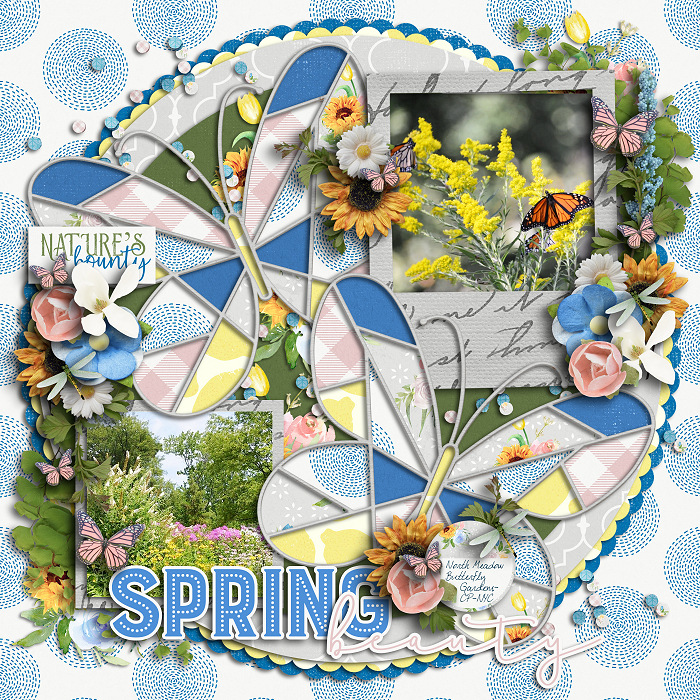 iscrap_cschneider-single183_meagan_700