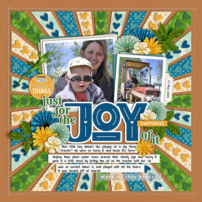 justForTheJoy2005-web-700