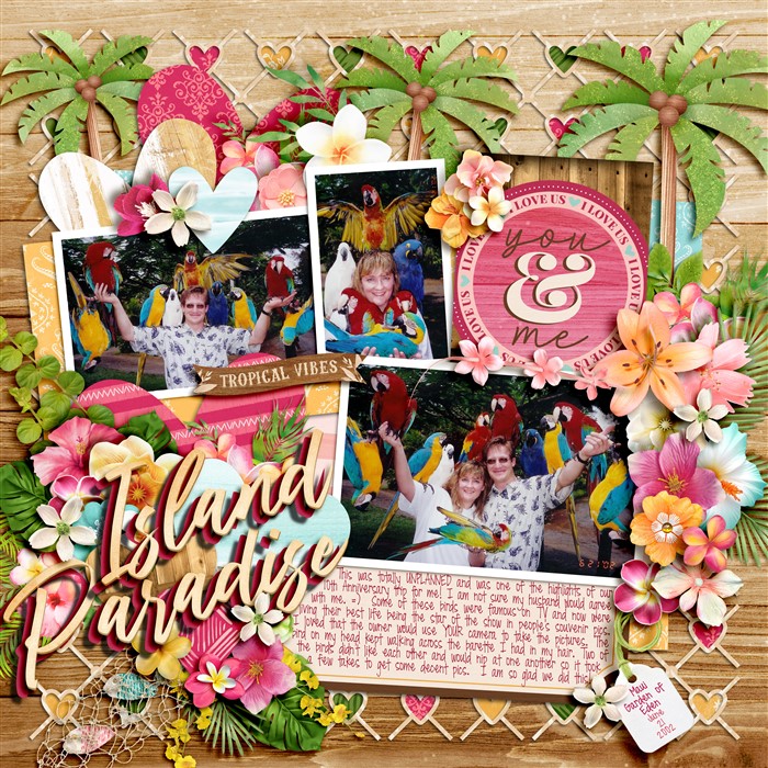 kelseyll_HP439-700