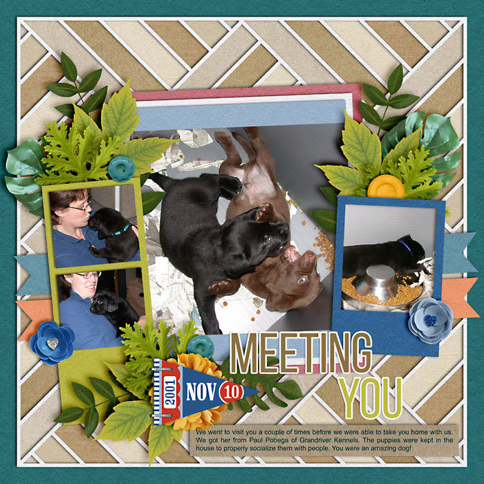 meetingTeba2001-web-700