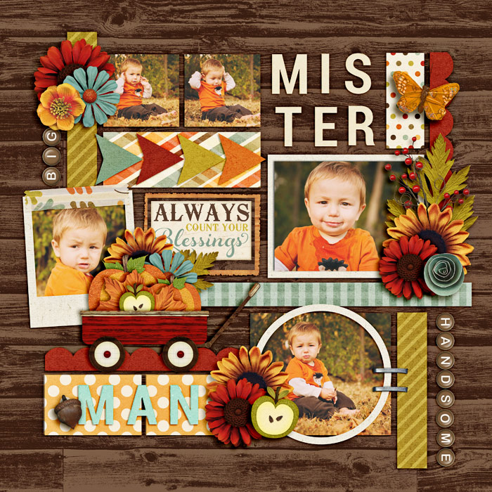 mister-manSSD