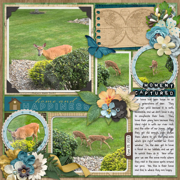mom_lz_4391