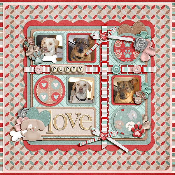 puppies_web