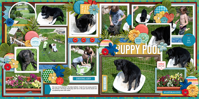 puppyPool2013-web-700-both