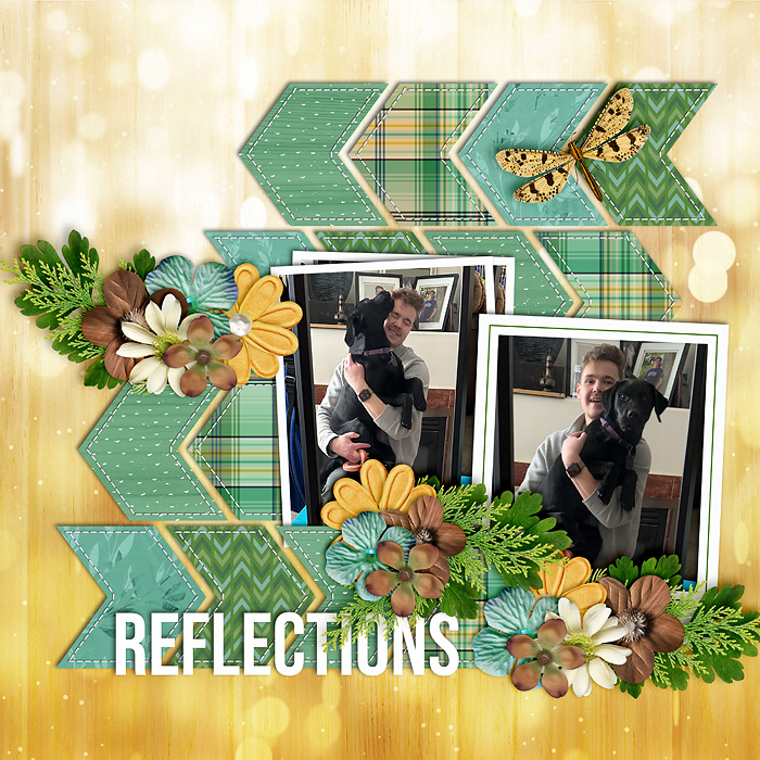 reflections-web-700