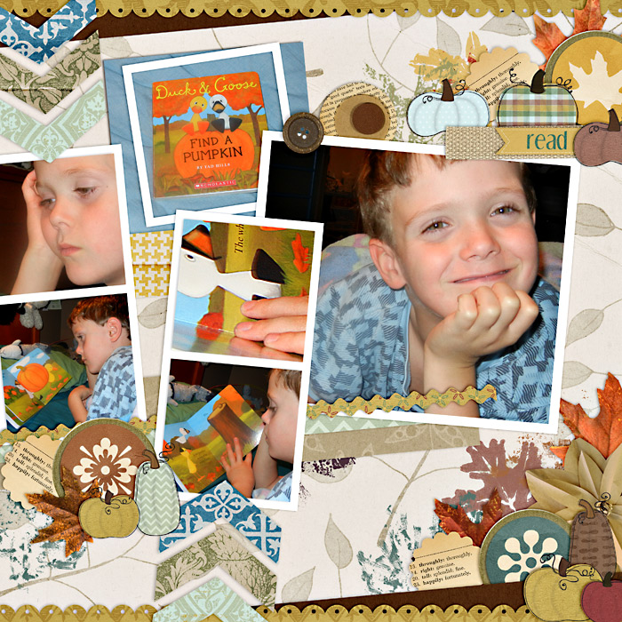 sReadingDuckGoose-web-700