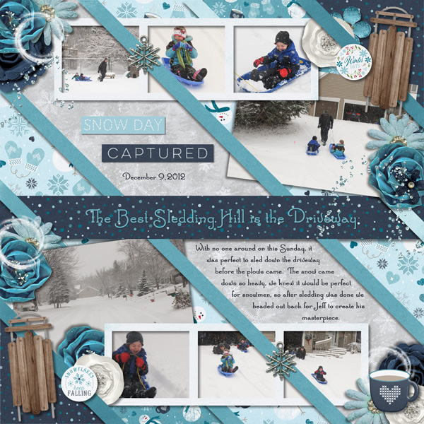 sledding-hill