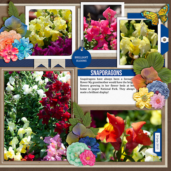 snapdragons2013-web-700