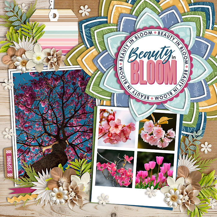 spring-web-7001