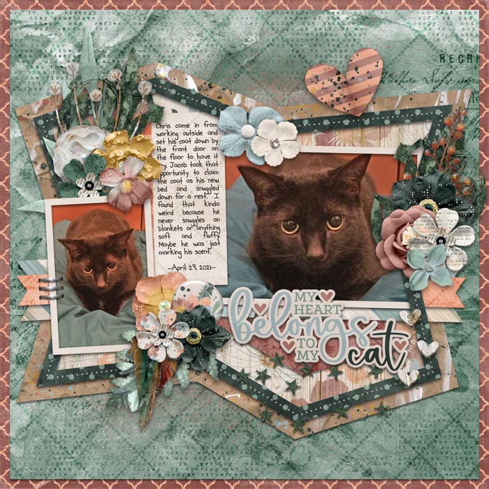 sscats_lz_3773