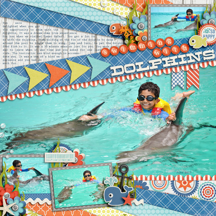 swimming-with-dolphins