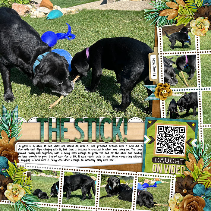 theStick-web-700