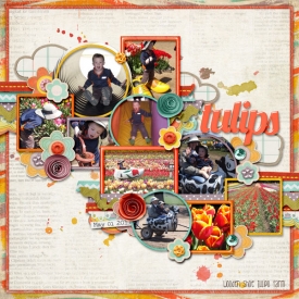 05L-Tulips-Web.jpg