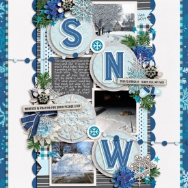 1-19-700SNOW-copy.jpg