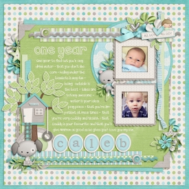 11-05-03-Caleb-one-year-web.jpg