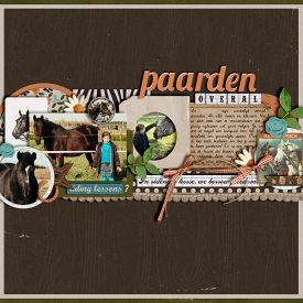11-11-paarden-overal.jpg