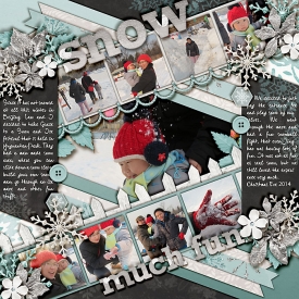 141226_lsjg_wintersveil.jpg