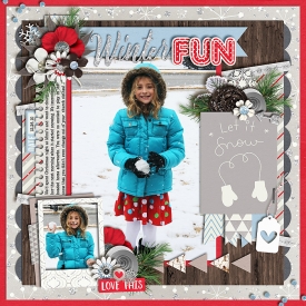 2010-12-26_Snow_WEB.jpg