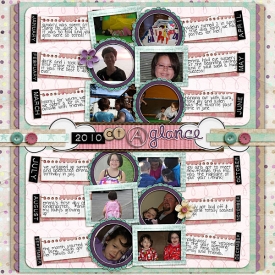 2010-at-a-glance.jpg