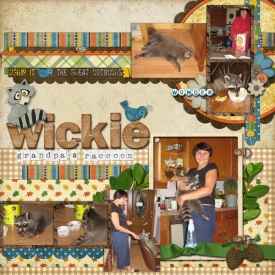 2010_08-wickie-the-raccoonp.jpg