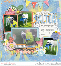 2019_6_6-dalton-cschneider-HP284pg1.jpg