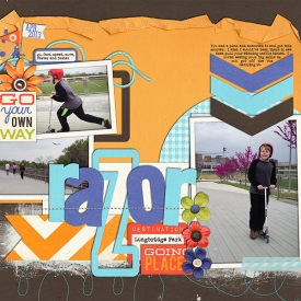 38_2013_razor_600w.jpg