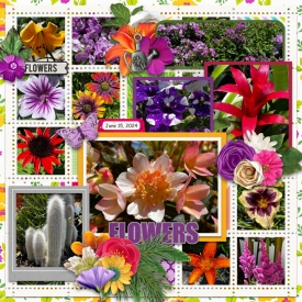 5067_pp532_lz.jpg